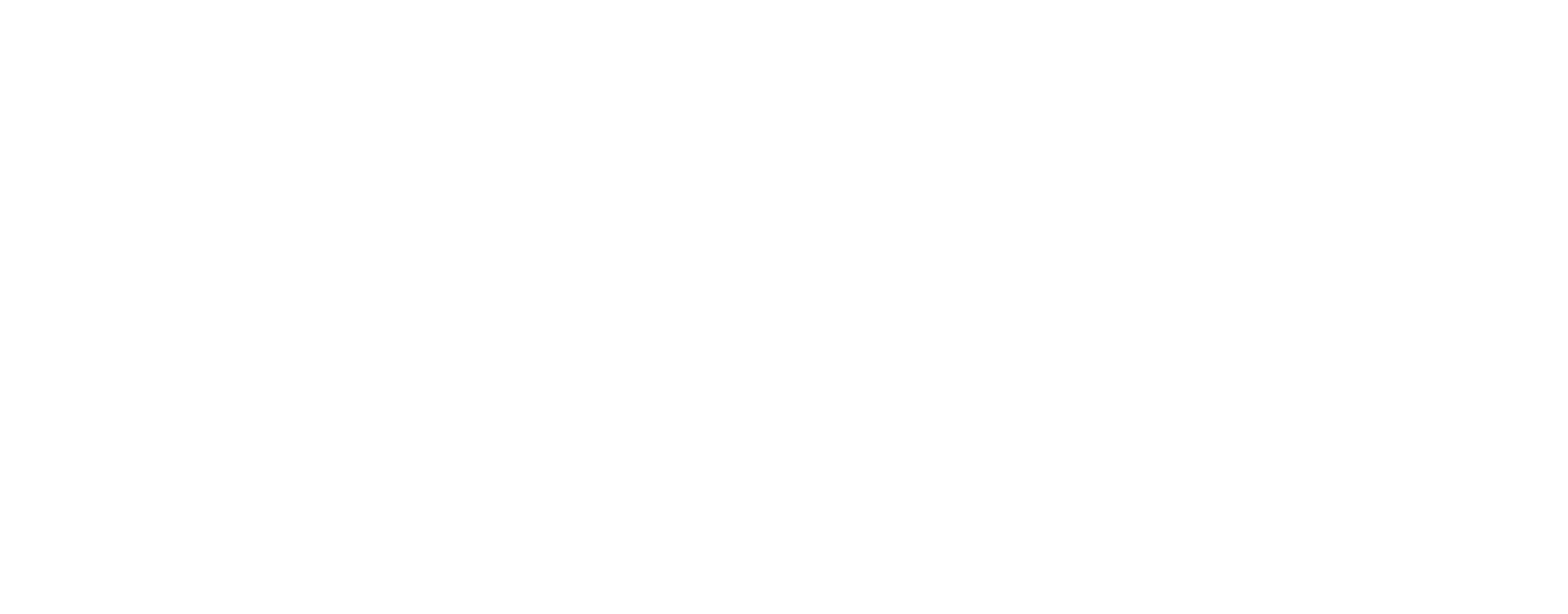 NUTRA HOLDINGS logo